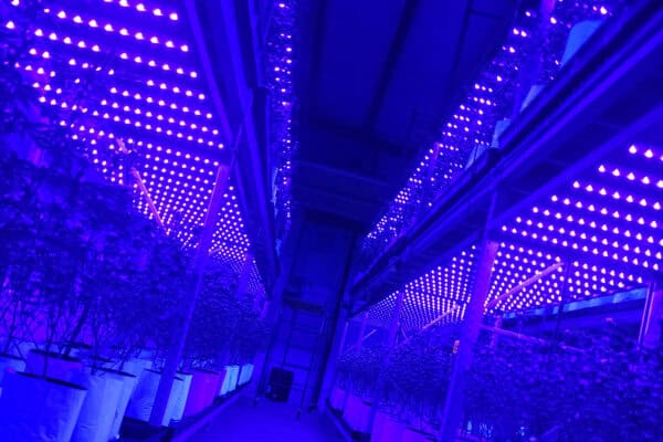 GO-1500PRO - Commercial Led Lights - 1450 Watt - Image 7